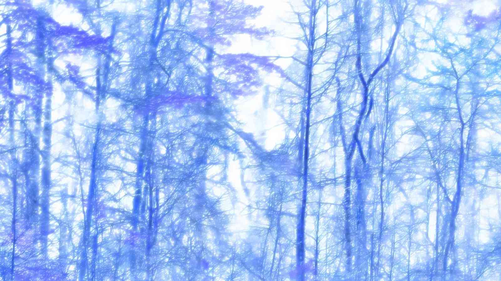 Photo of TREES